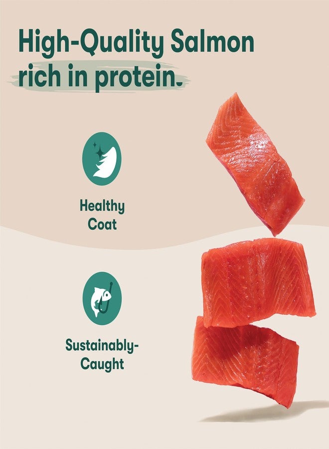 Jinx Oven-Baked Salmon Bone Broth Biscuit Dog Treats - Crunchy, All Natural, Superfood-Rich with High-Protein Salmon, Dog Biscuits for Puppies, Adults & Seniors - 16oz - Image 2